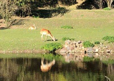 ZOO Plzeň - ilustrační foto